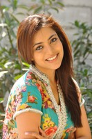 Nisha Agarwal Latest Photos